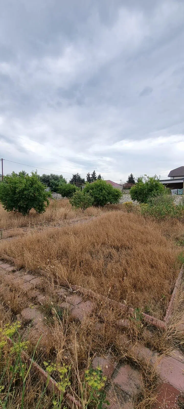8.5 sot torpaq sahəsi satılır — şəkil 4