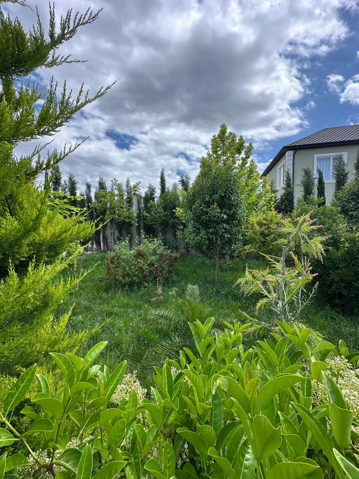 3 otaqlı villa 110 m² - 7 sot torpaq sahəsində satılır — şəkil 13