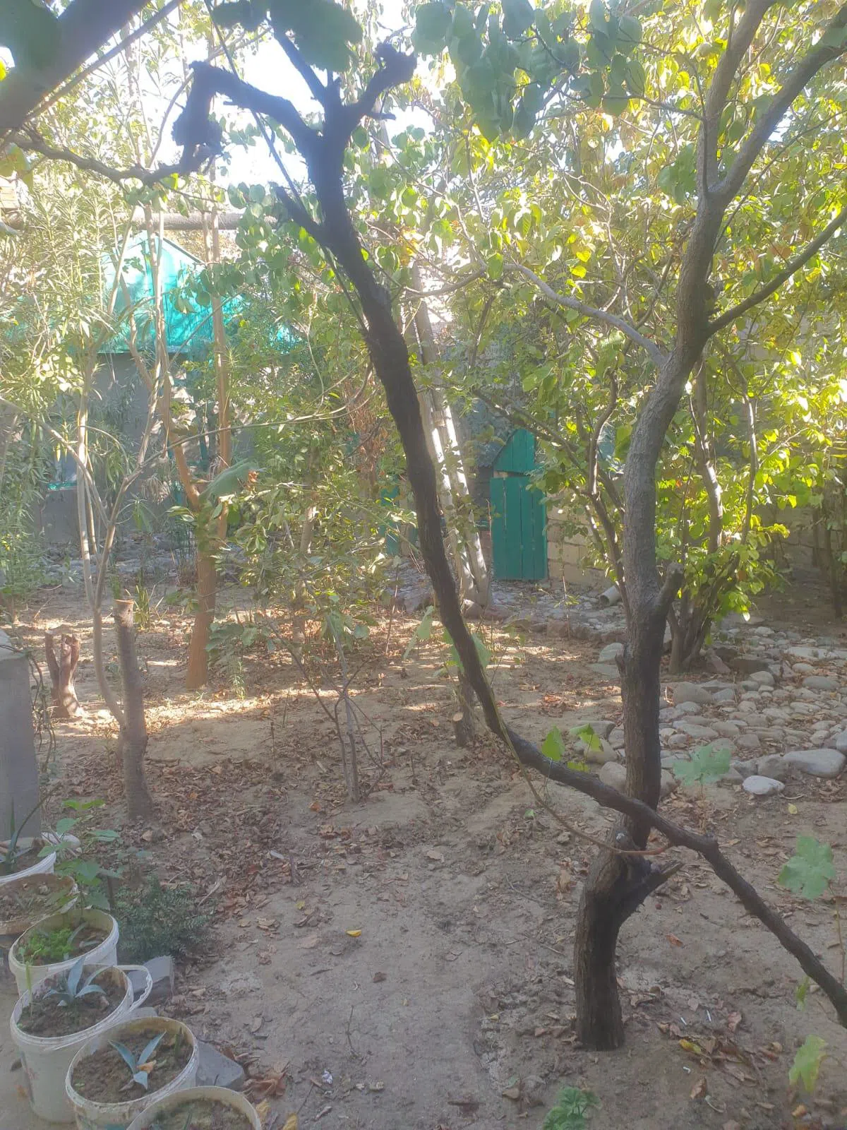 8 otaqlı həyət evi 210 m² - 6 sot torpaq sahəsində satılır — şəkil 17