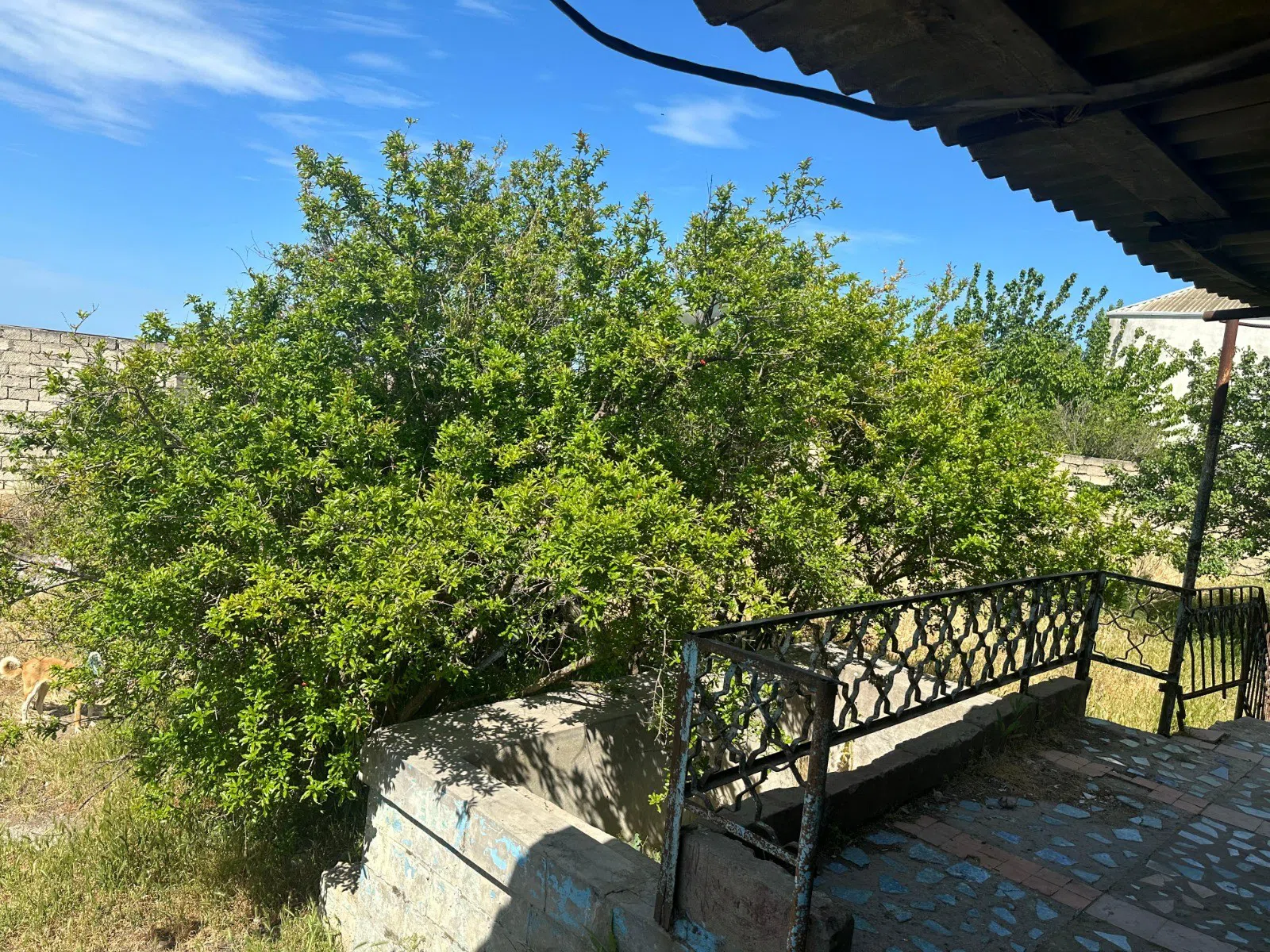 6.5 sot torpaq sahəsi satılır — şəkil 12