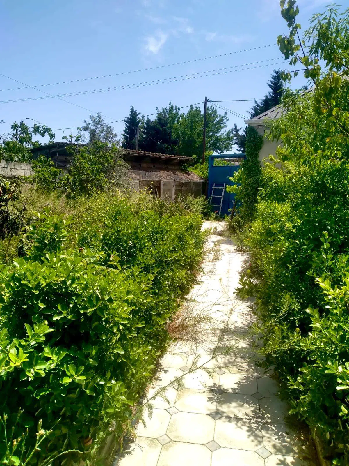 3 otaqlı həyət evi 60 m² satılır — şəkil 7