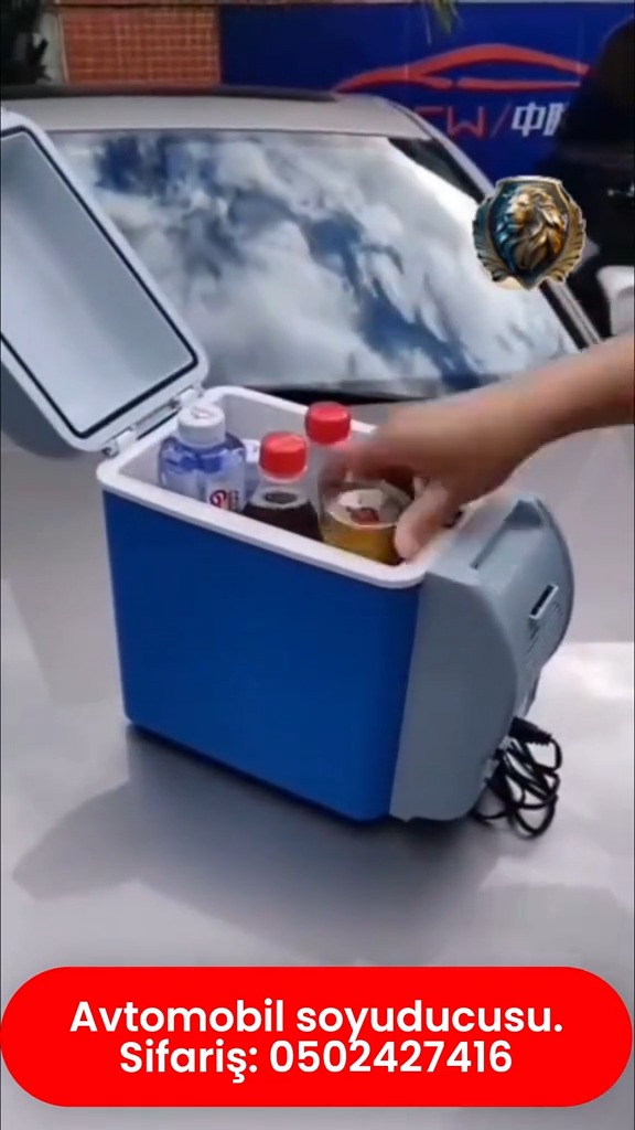 Car refrigerator - Tenderyard
