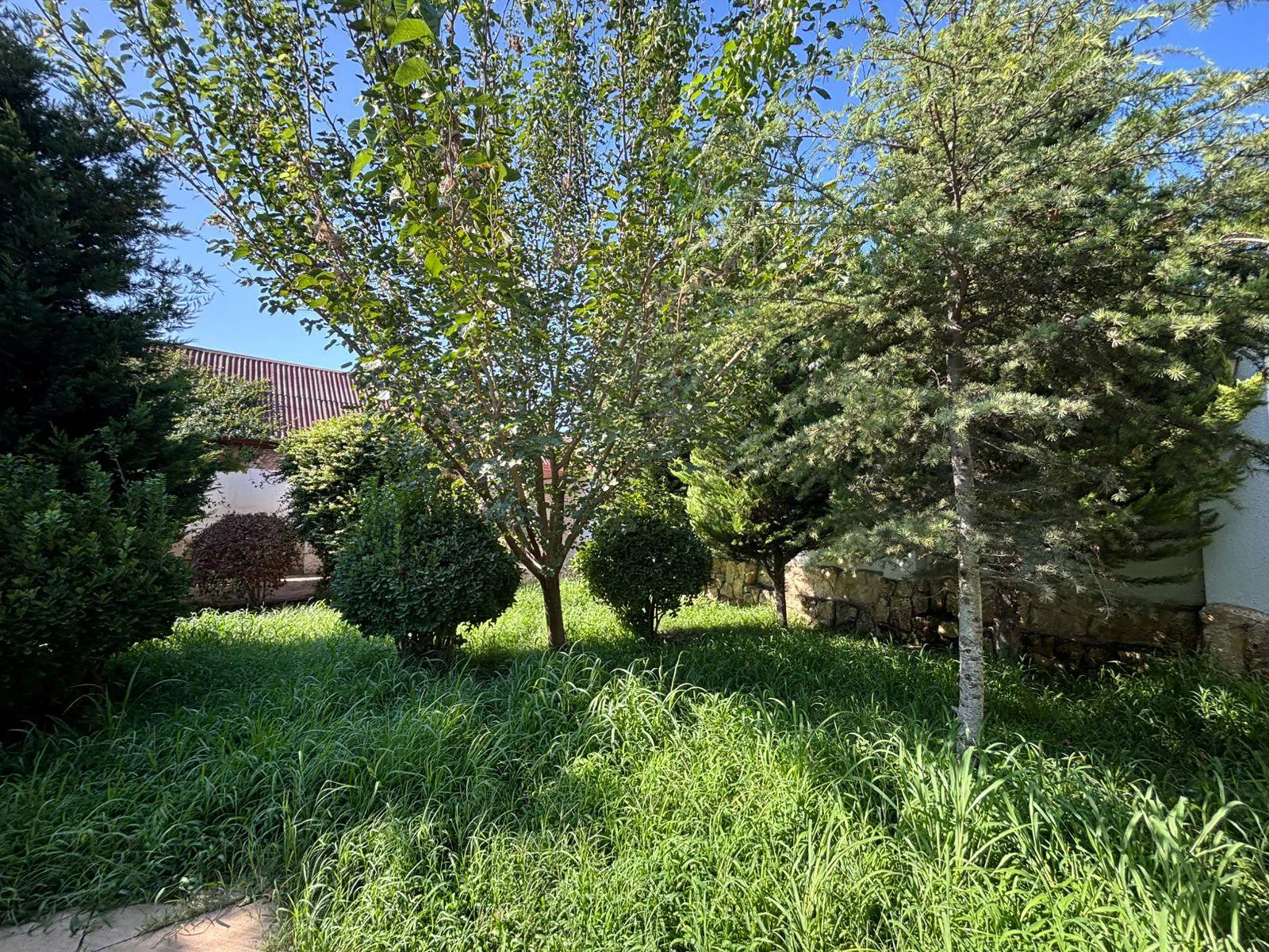5 otaqlı bağ evi 250 m² 8 sot torpaq sahəsində satılır — şəkil 26