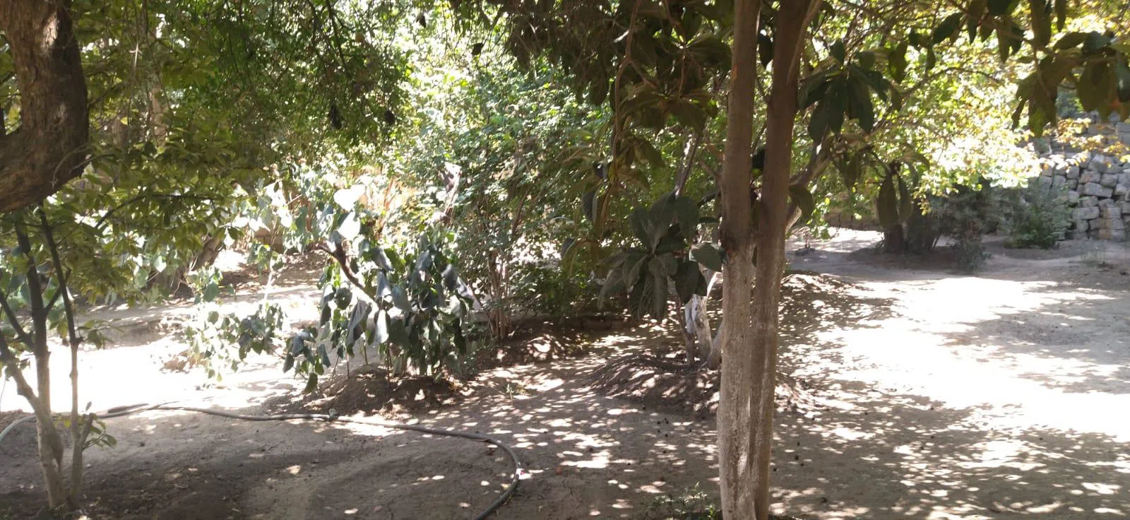 3 otaqlı həyət evi 54 m² - 5.5 sot torpaq sahəsində satılır — şəkil 2