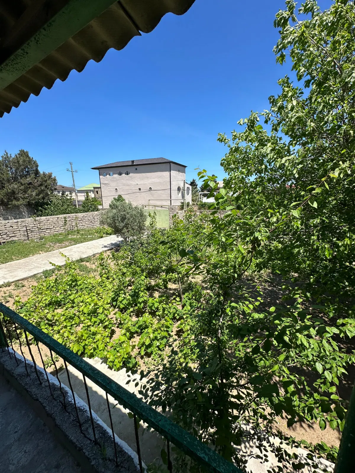 12 sot torpaq sahəsi satılır — şəkil 2