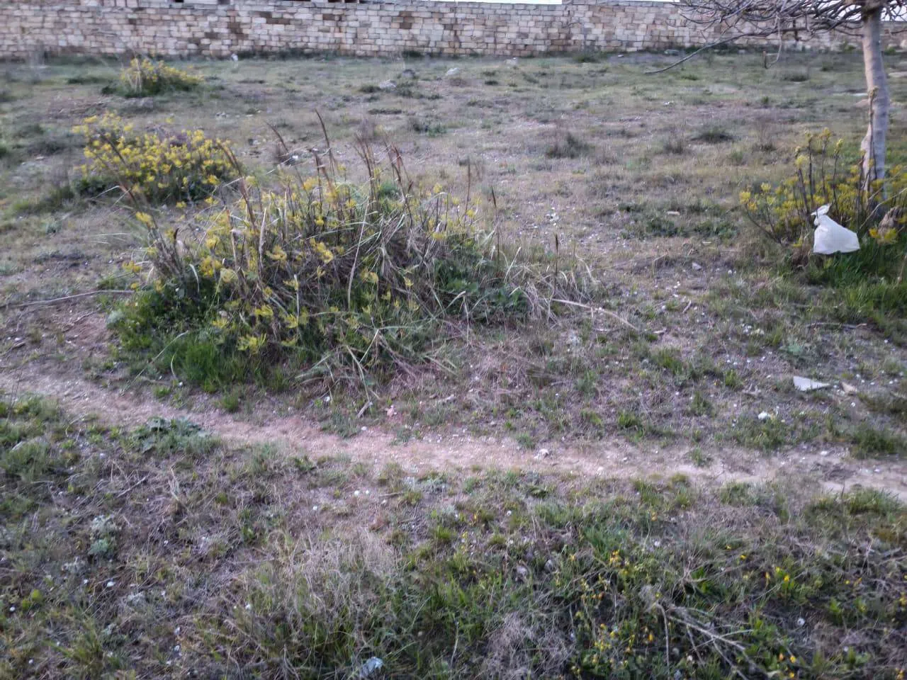25 sot torpaq sahəsi satılır — şəkil 3