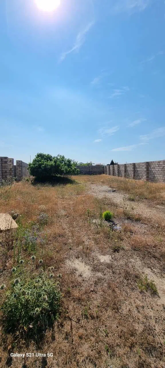 7 sot torpaq sahəsi satılır — şəkil 7