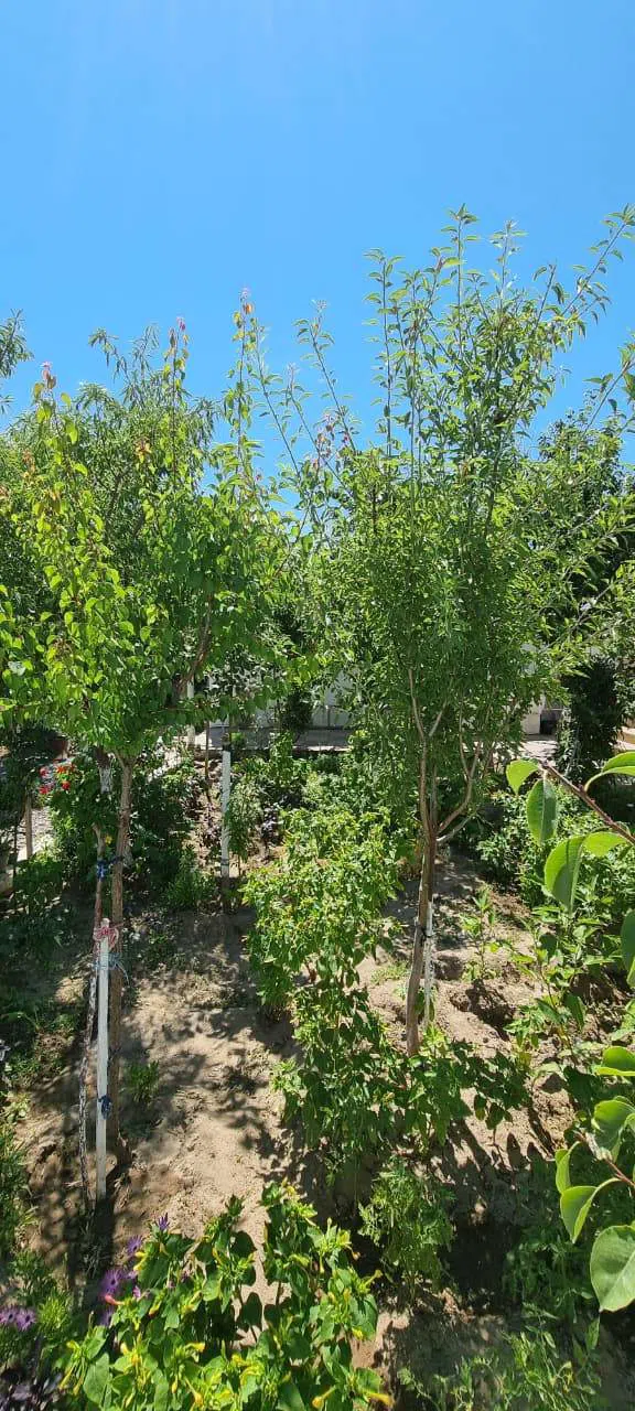 7 otaqlı həyət evi 200 m² satılır — şəkil 12