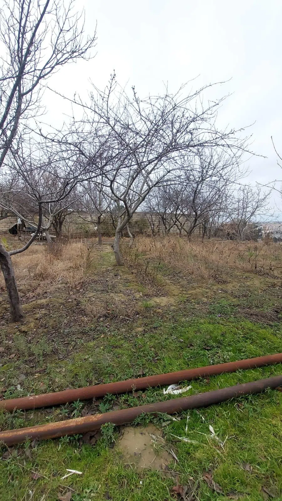 6 otaqlı villa 450 m² - 16 sot torpaq sahəsində satılır — şəkil 9