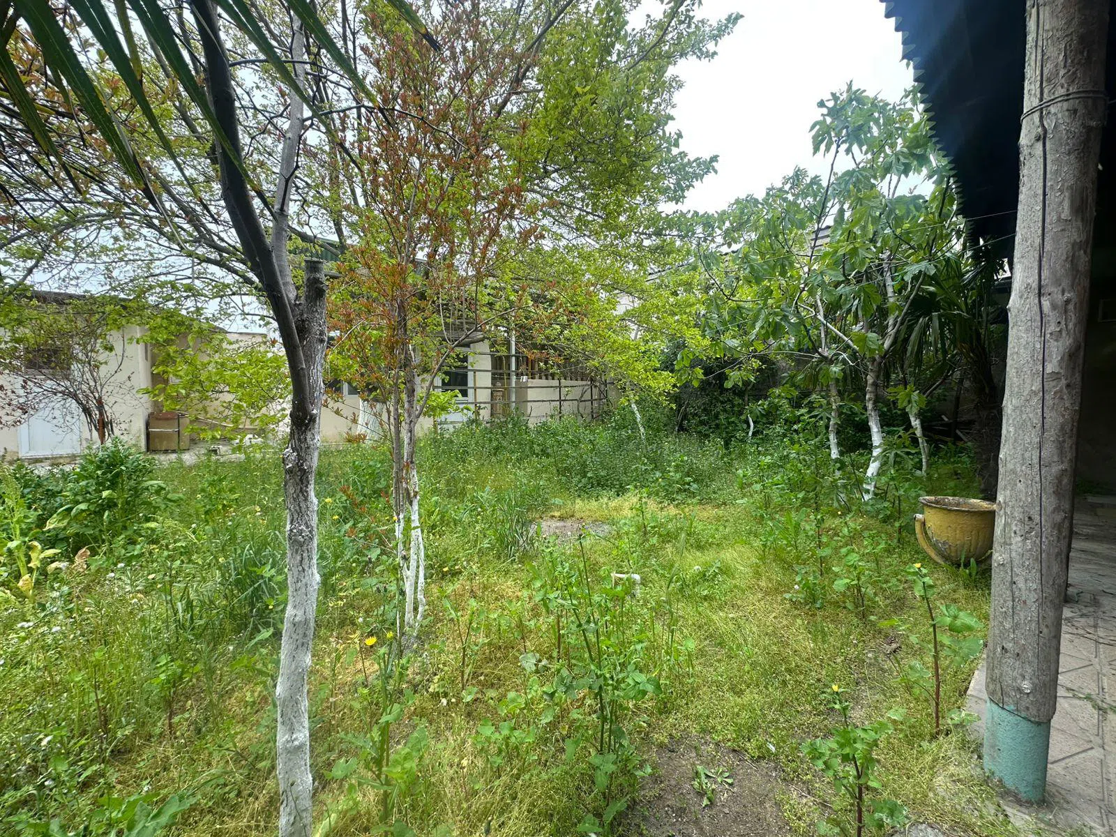 3 otaqlı bağ evi 120 m² 5 sot torpaq sahəsində satılır — şəkil 19