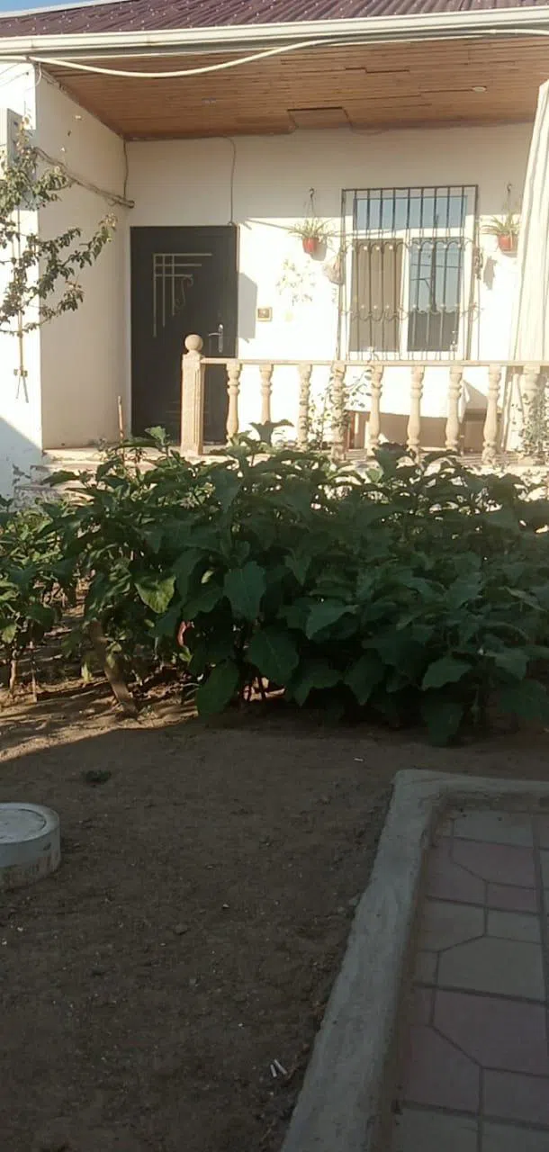 3 otaqlı həyət evi 100 m² - 2.3 sot torpaq sahəsində satılır