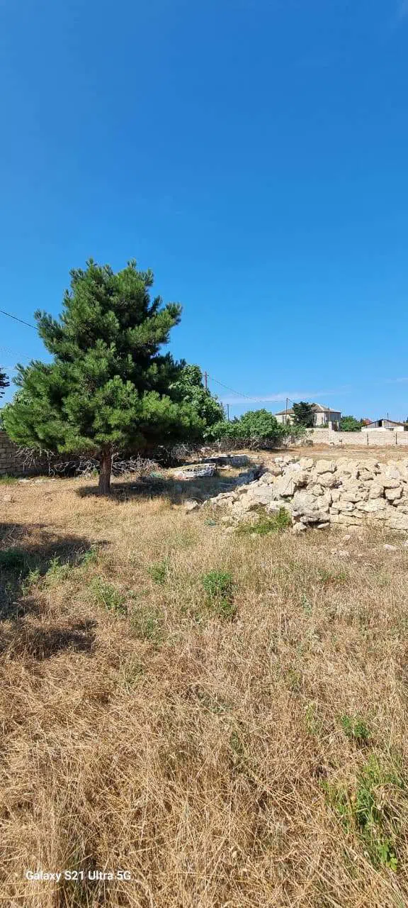 30 sot torpaq sahəsi satılır — şəkil 9
