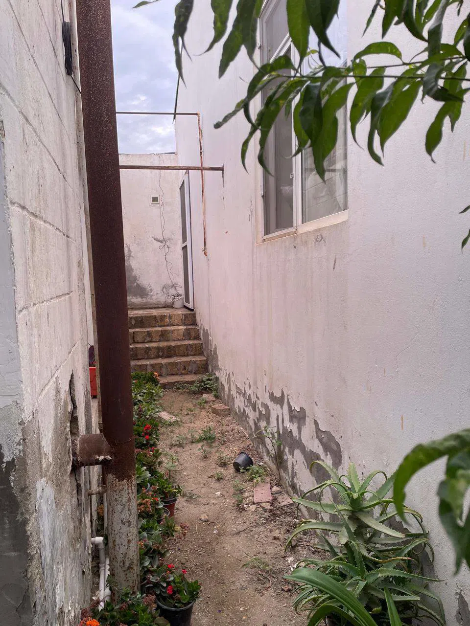 6 otaqlı həyət evi 180 m² - 4 sot torpaq sahəsində satılır — şəkil 5