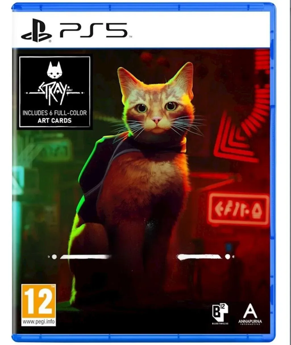 Stray PS5 oyunu