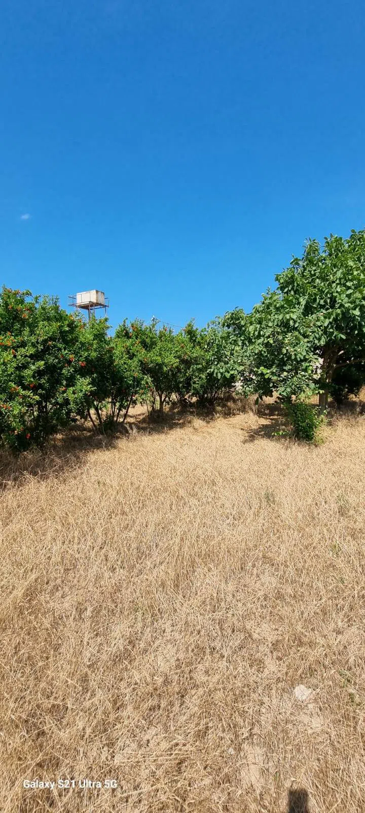 24 sot torpaq sahəsi satılır — şəkil 3