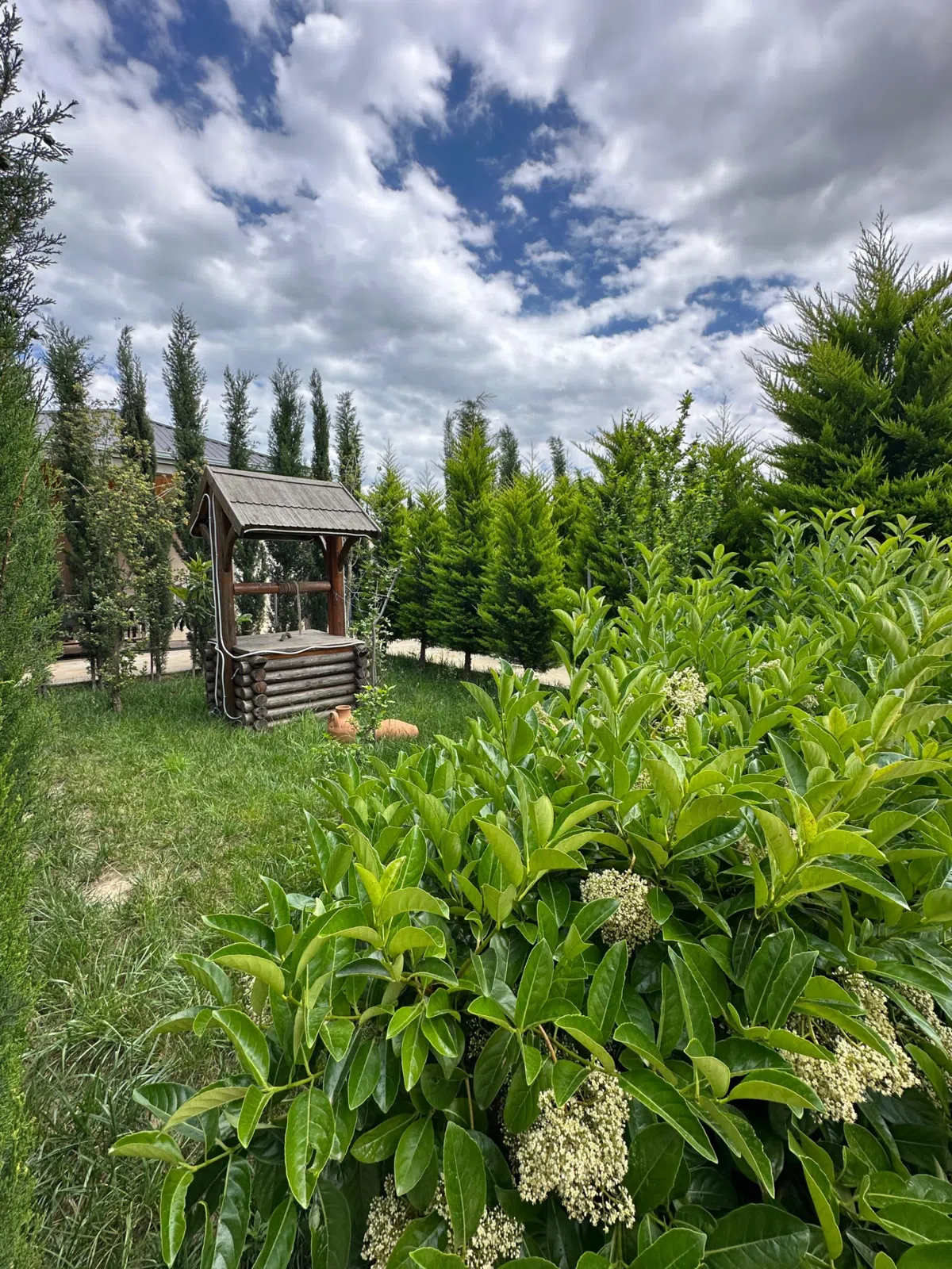3 otaqlı villa 110 m² - 7 sot torpaq sahəsində satılır — şəkil 5