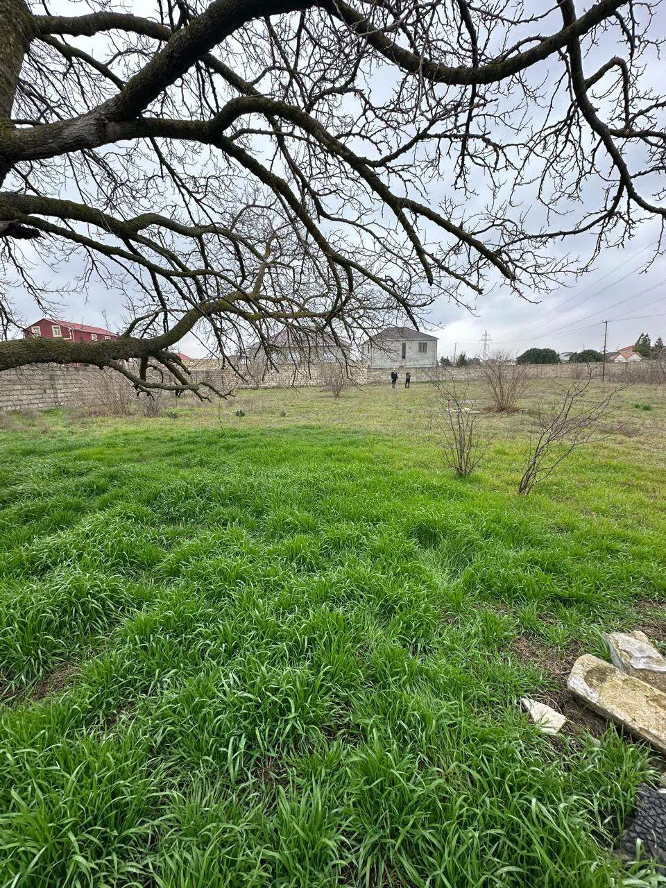 20 sot torpaq sahəsi satılır — şəkil 5