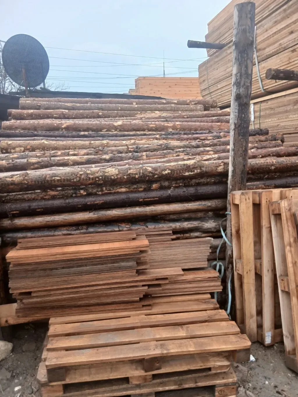 Şam ağacından yumru dirəklər və taxta materialları