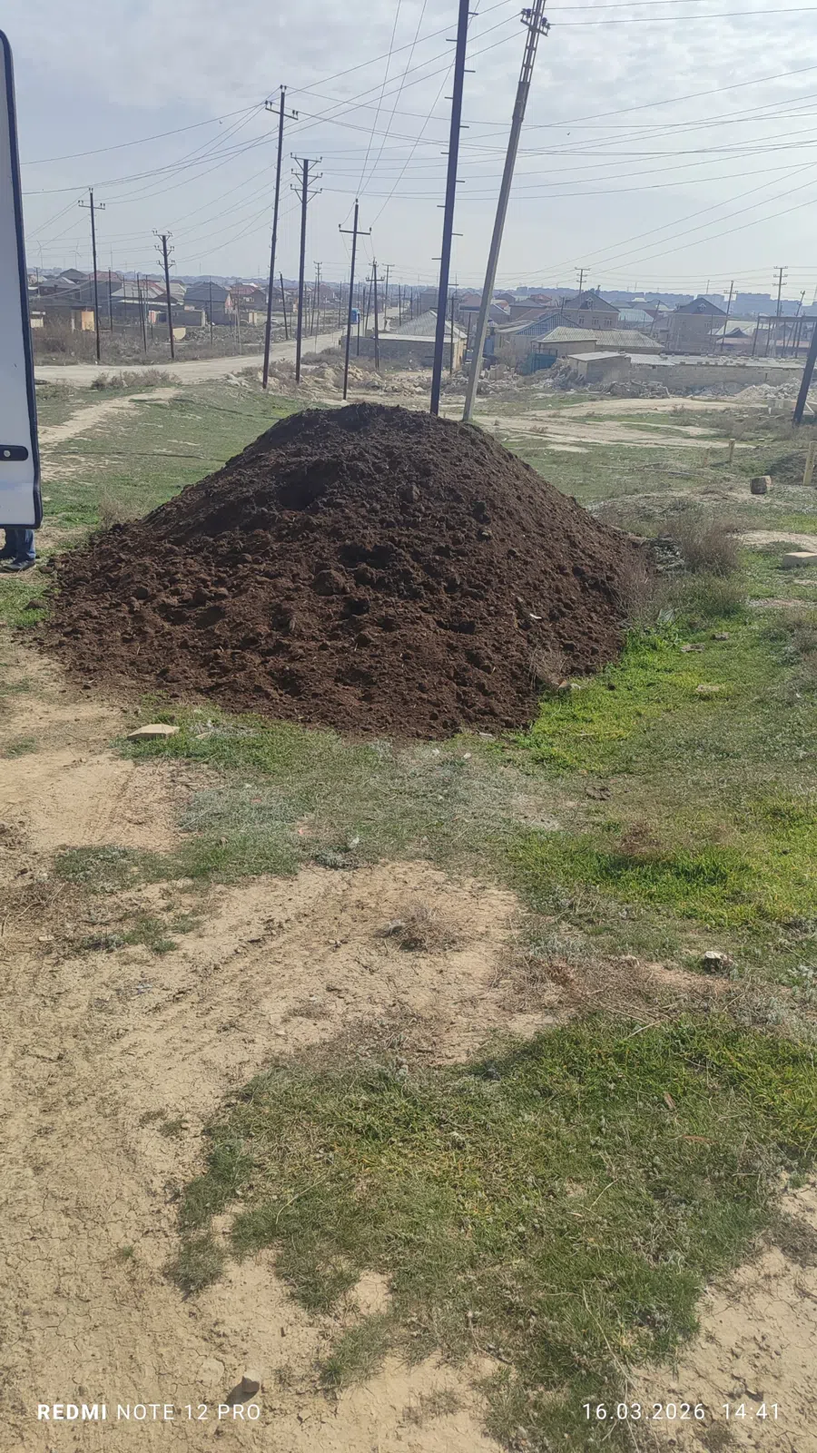 Qara torpağ peyin — şəkil 4