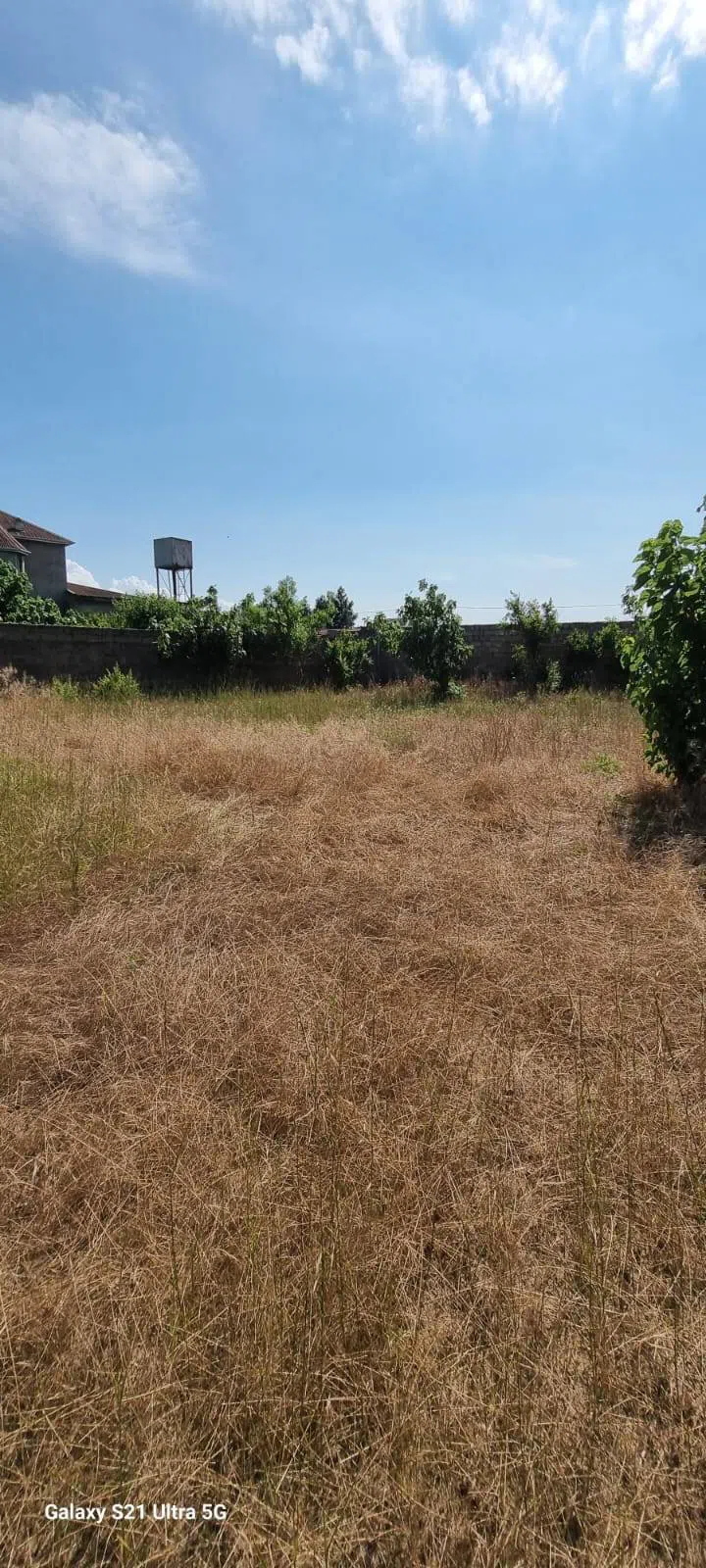24 sot torpaq sahəsi satılır — şəkil 5
