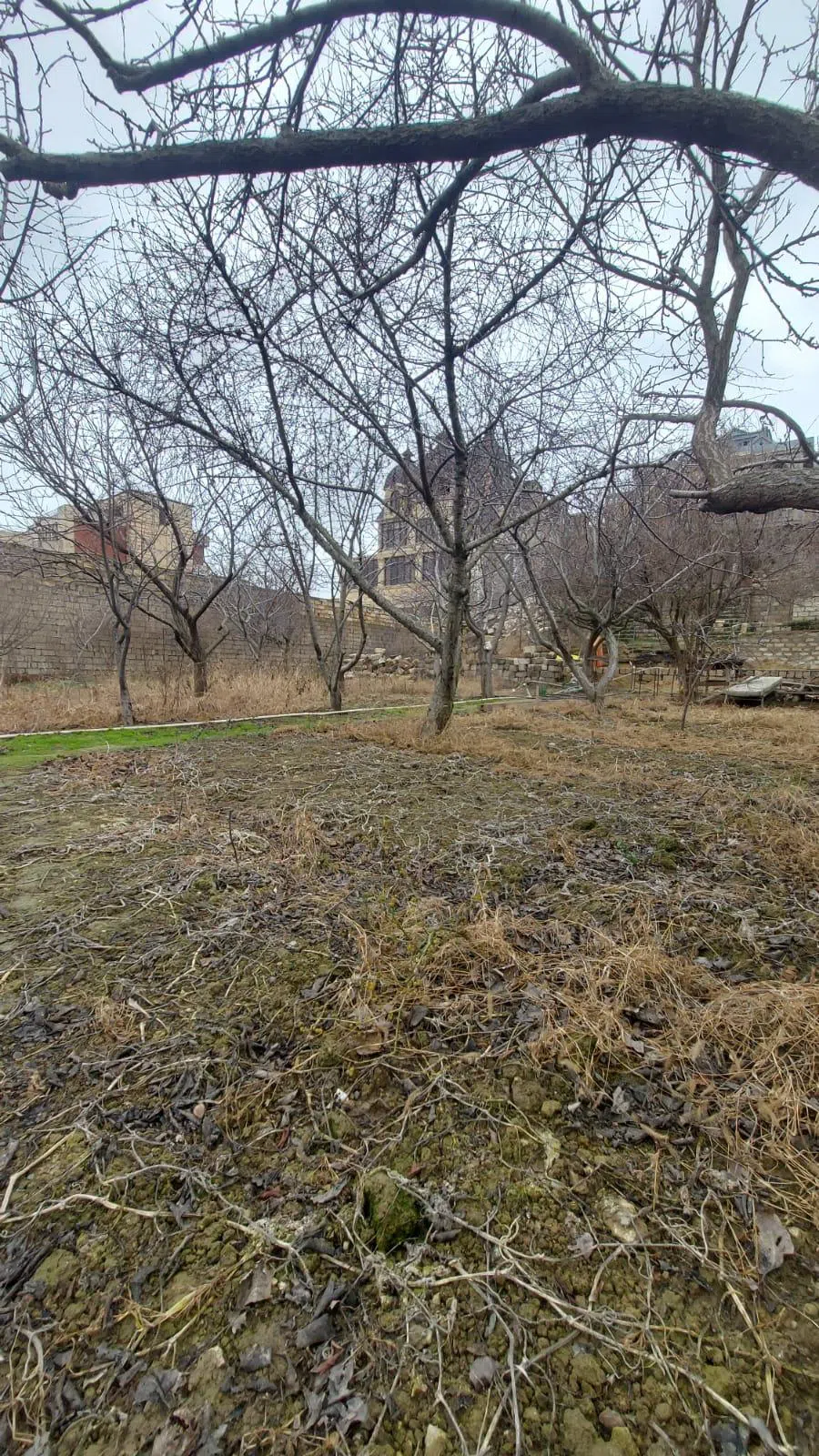 6 otaqlı villa 450 m² - 16 sot torpaq sahəsində satılır — şəkil 3