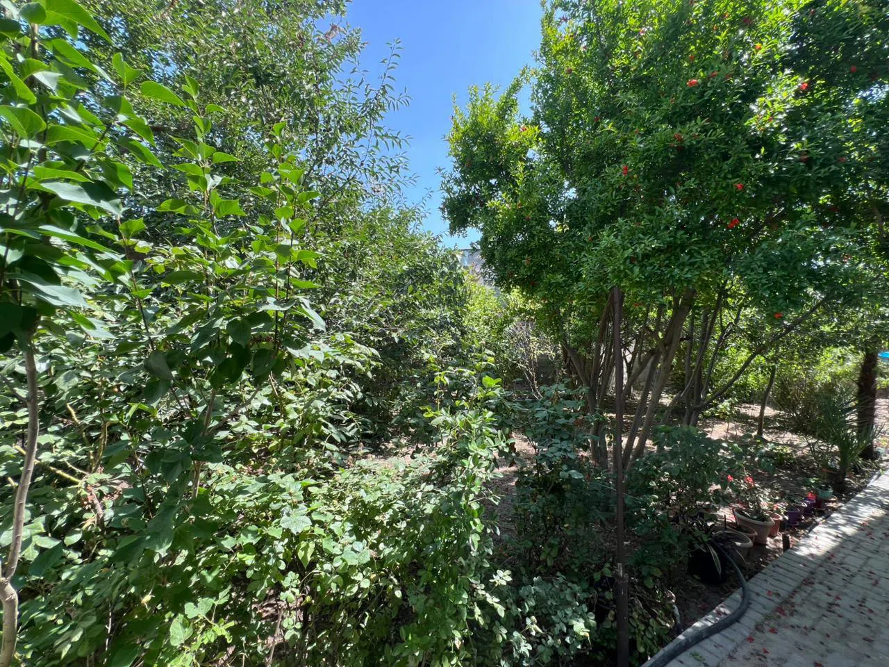 4 otaqlı bağ evi 140 m² 5.6 sot torpaq sahəsində satılır — şəkil 20