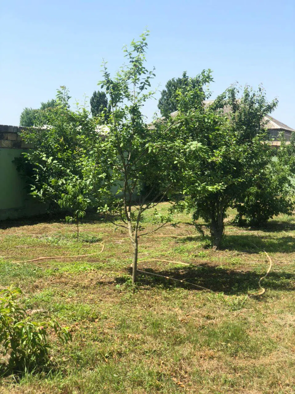 7 otaqlı villa 250 m² - 4 sot torpaq sahəsində satılır — şəkil 15