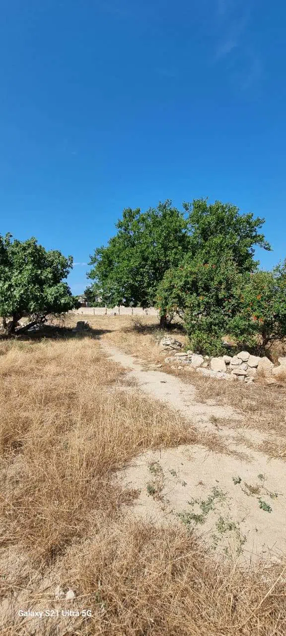 30 sot torpaq sahəsi satılır — şəkil 2
