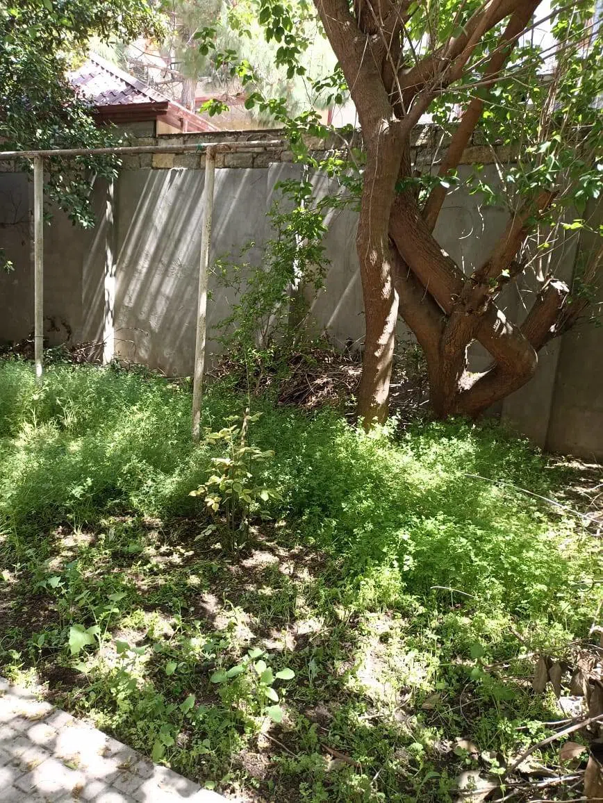 12 otaqlı villa 555 m² - 2 sot torpaq sahəsində kirayə verilir — şəkil 15