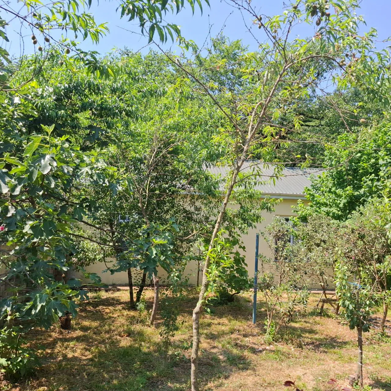 3 otaqlı həyət evi 70 m² - günlük kirayə verilir — şəkil 14