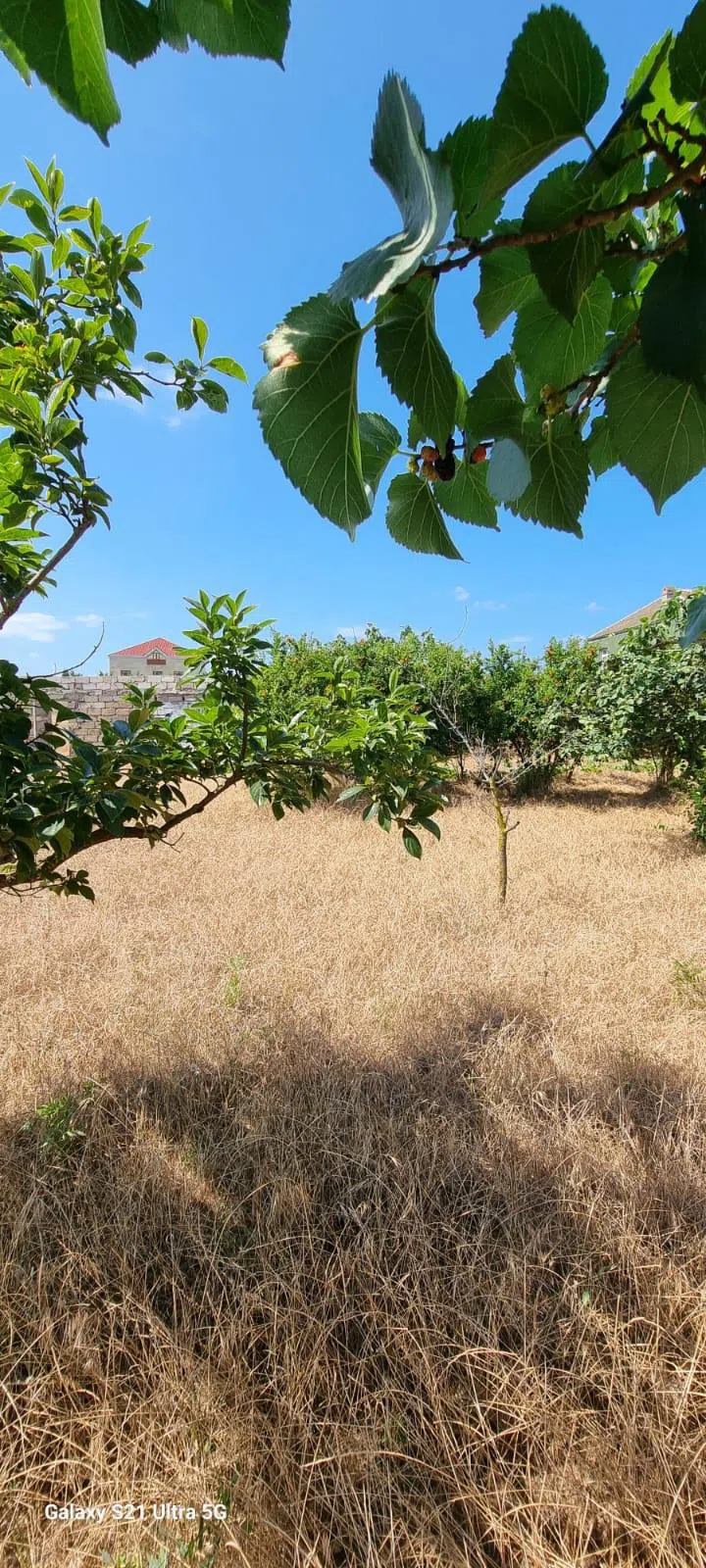 24 sot torpaq sahəsi satılır — şəkil 7