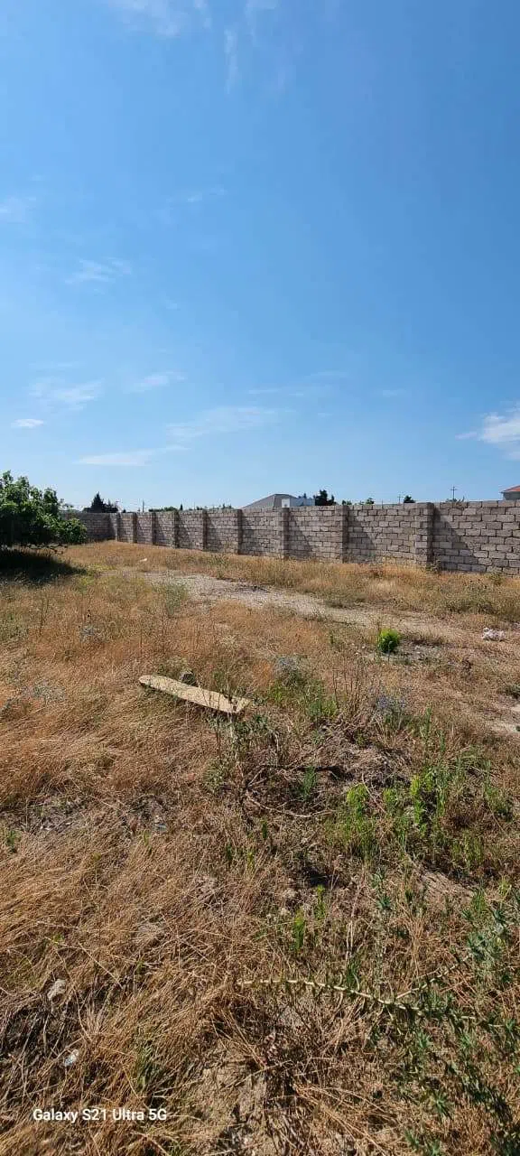 7 sot torpaq sahəsi satılır — şəkil 7