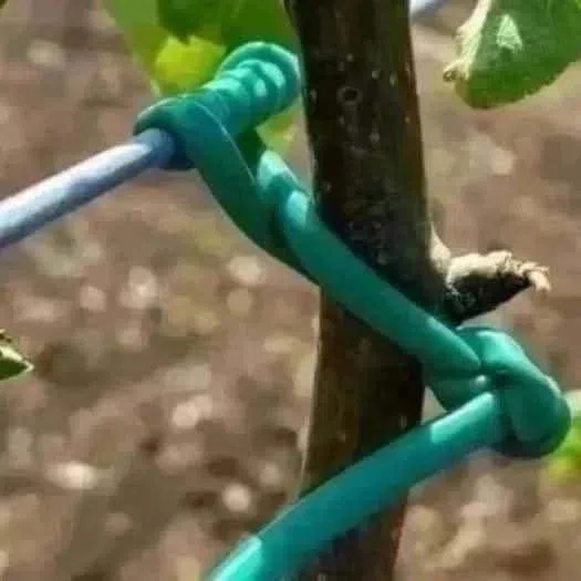 Yaşıl aqro kembrik ipi — şəkil 2