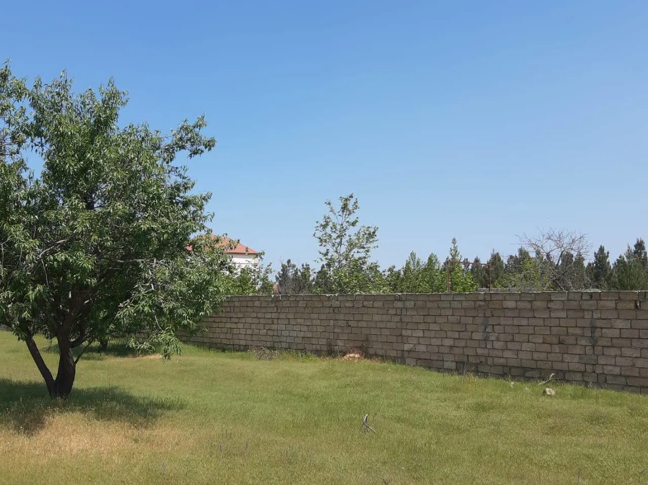 16 sot torpaq sahəsi satılır — şəkil 4