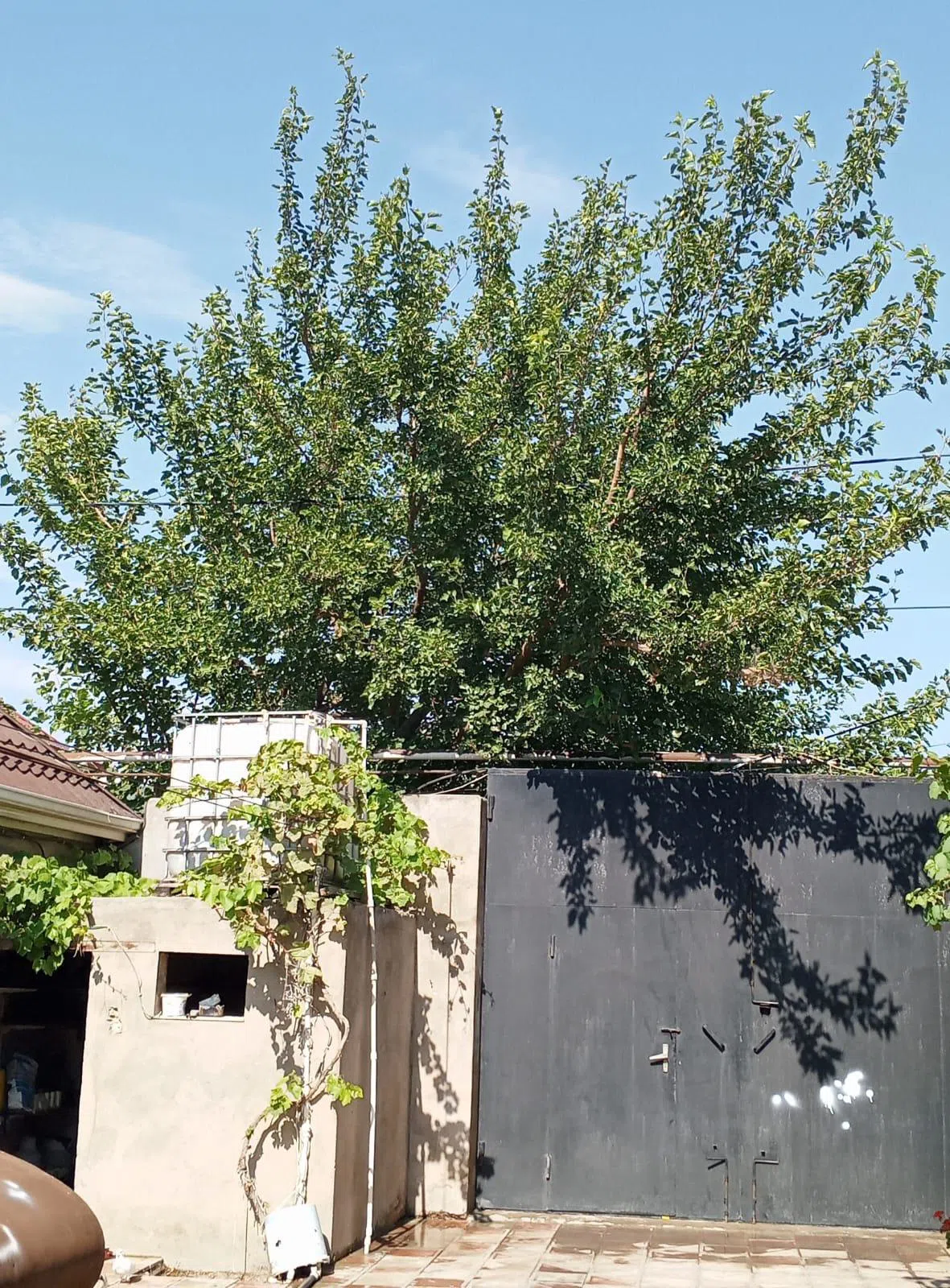 4 otaqlı həyət evi 275 m² - 6 sot torpaq sahəsində satılır — şəkil 14