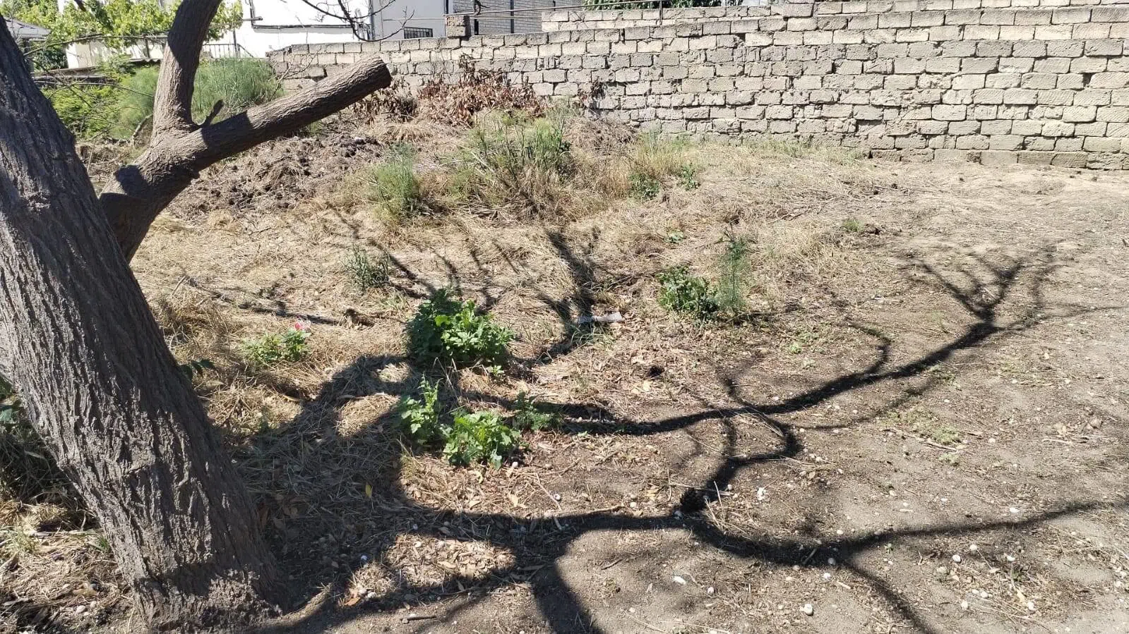 10 sot torpaq sahəsi satılır — şəkil 4