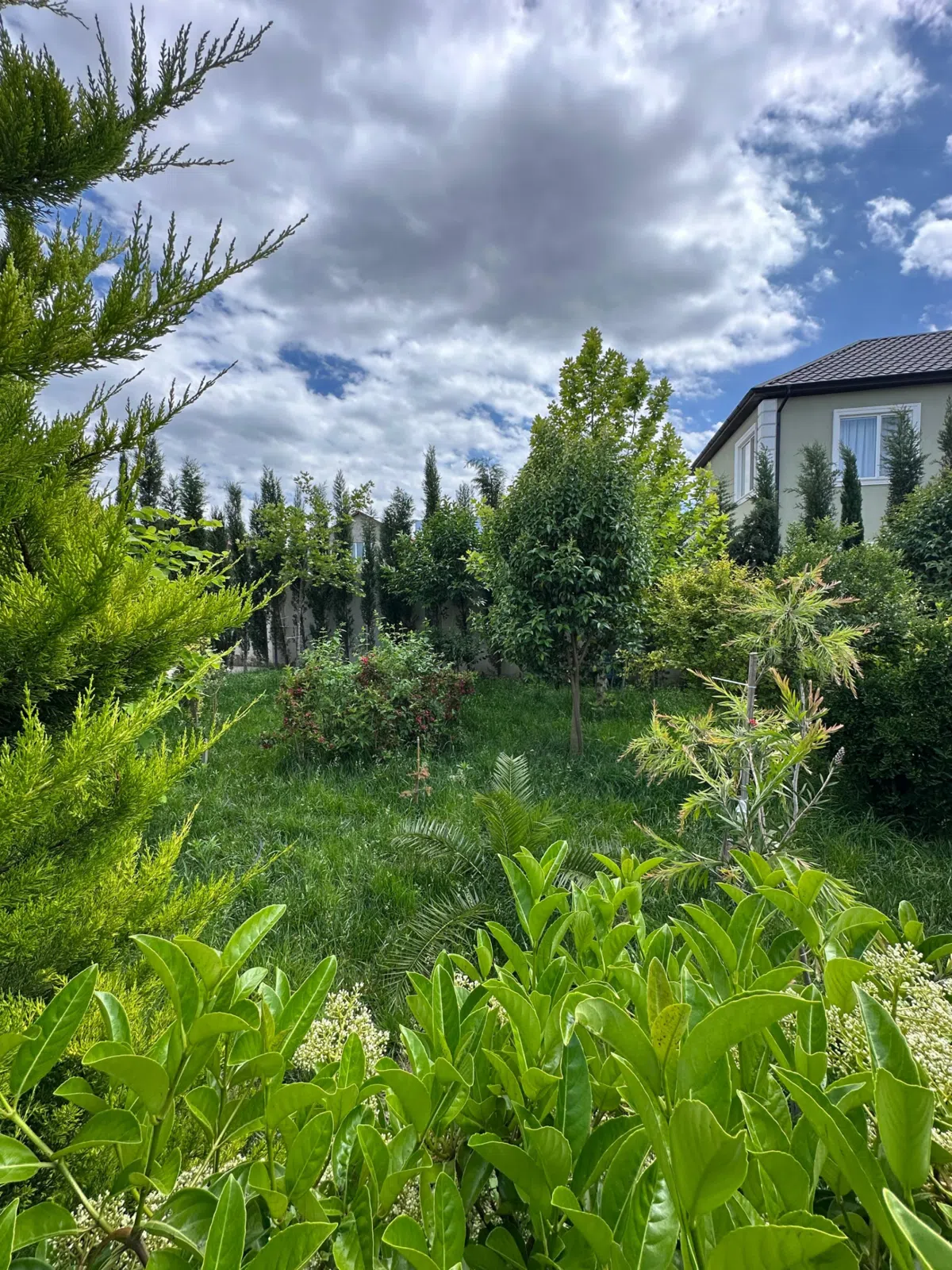 3 otaqlı villa 110 m² - 7 sot torpaq sahəsində satılır — şəkil 11
