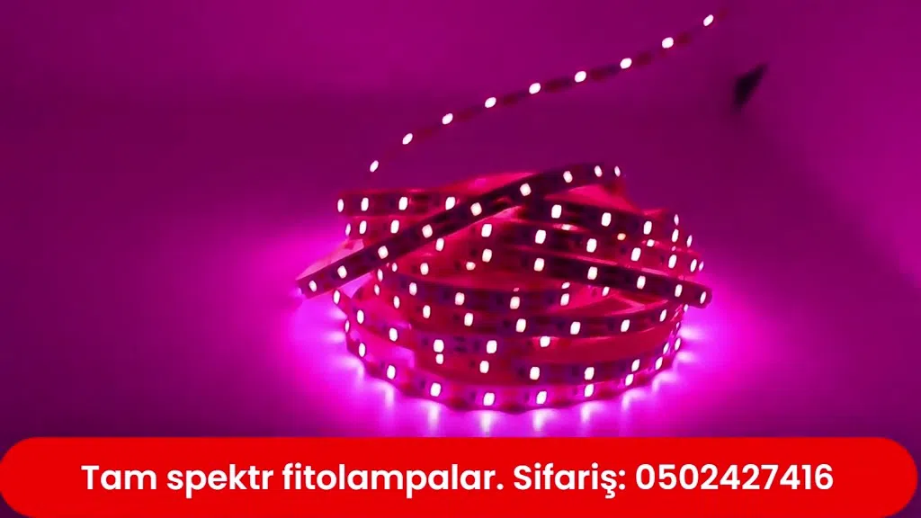 LED lamp, White color - Tenderyard