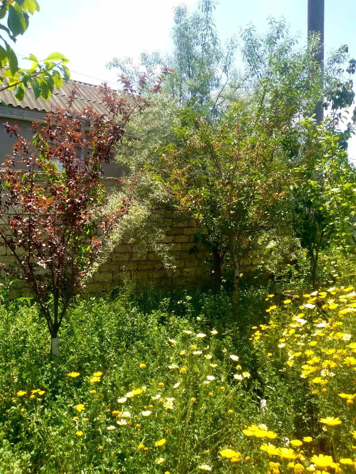 3 otaqlı həyət evi 60 m² satılır — şəkil 16