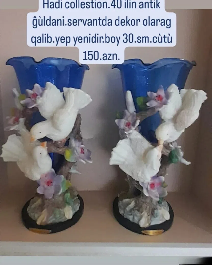 Porselen güldan, Göy rəng