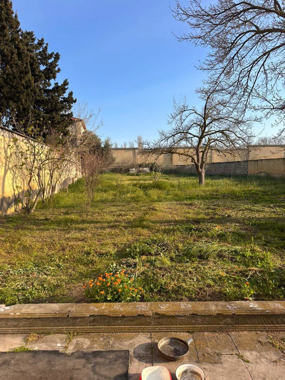 6 otaqlı bağ evi 308 m² 26 sot torpaq sahəsində satılır — şəkil 9