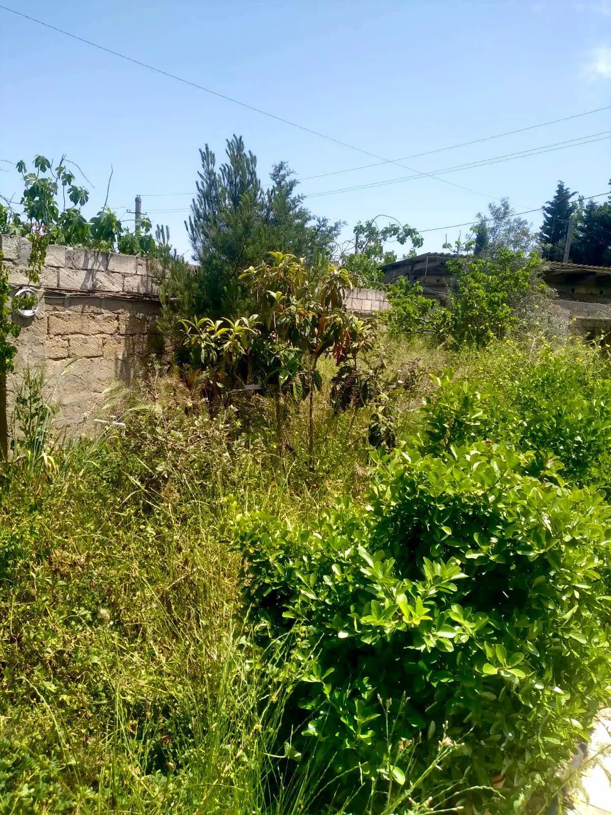 3 otaqlı həyət evi 60 m² satılır — şəkil 13