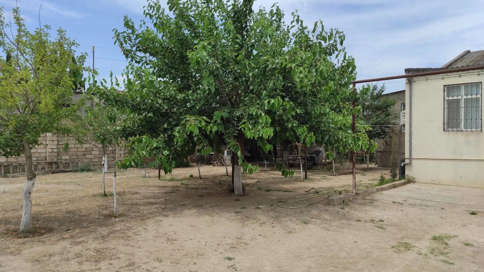 9 sot torpaq sahəsi satılır — şəkil 5