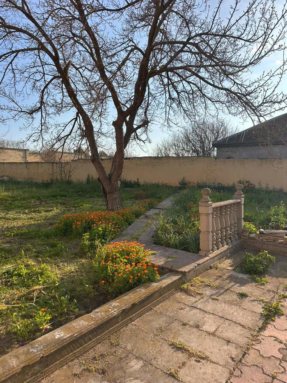 6 otaqlı bağ evi 308 m² 26 sot torpaq sahəsində satılır — şəkil 13