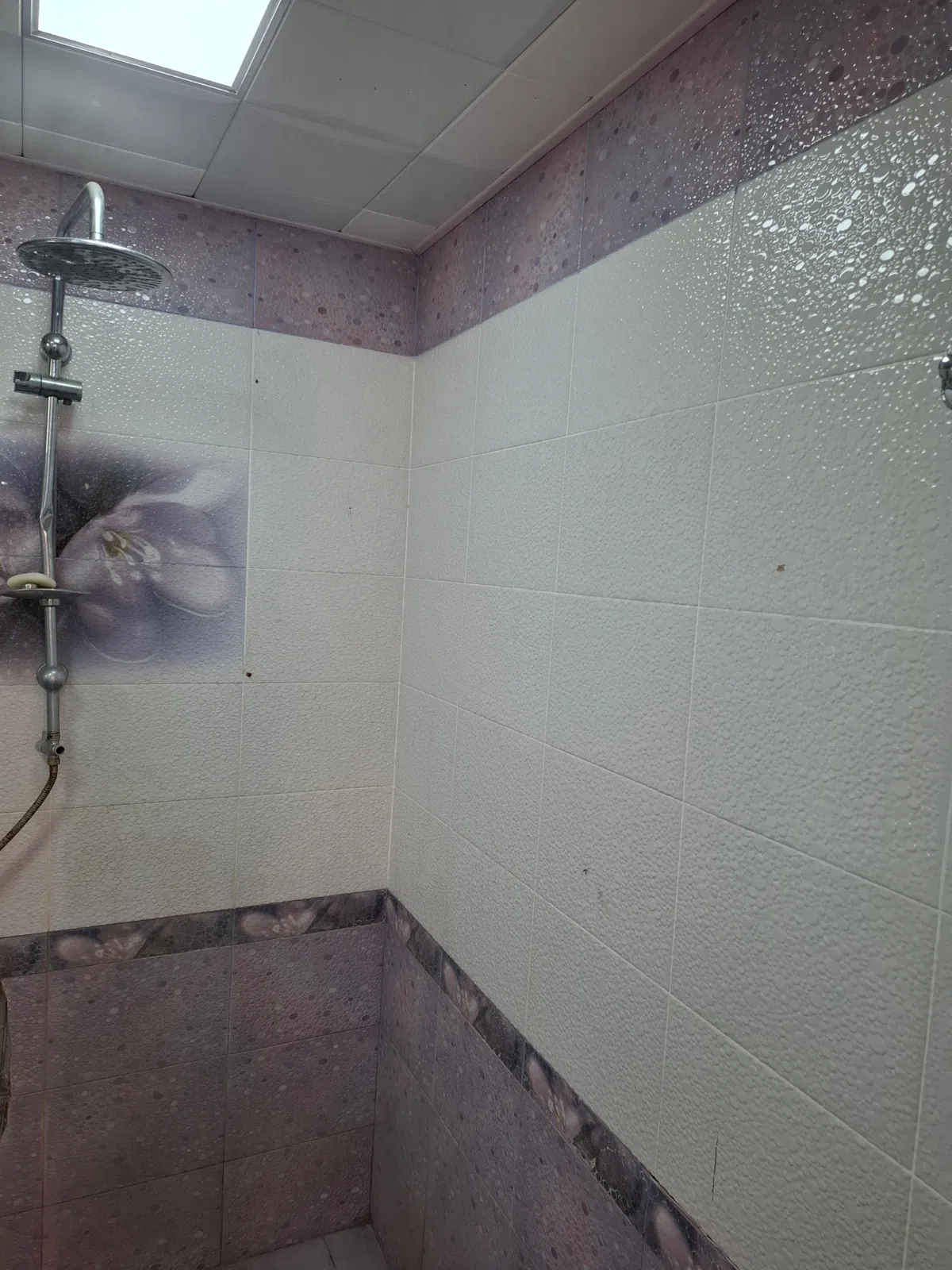 7 otaqlı həyət evi 290 m² - 6 sot torpaq sahəsində satılır — şəkil 9