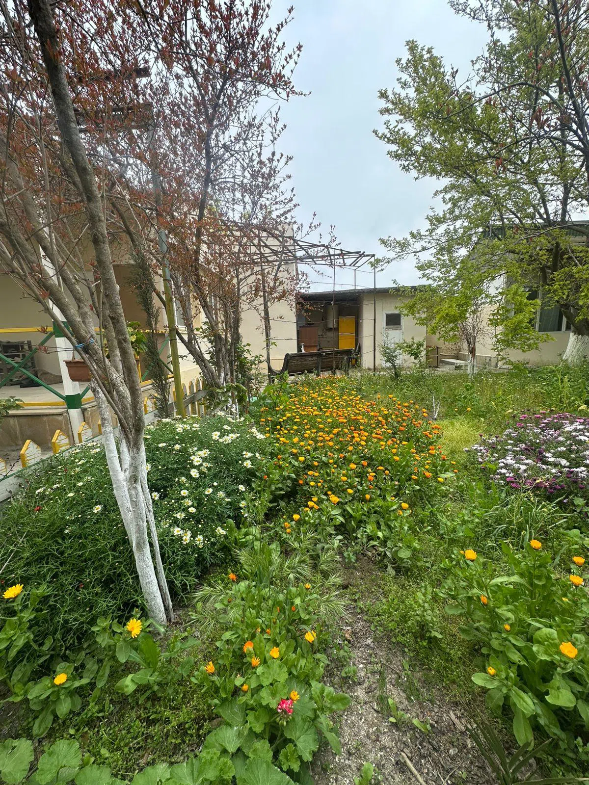 3 otaqlı bağ evi 120 m² 5 sot torpaq sahəsində satılır — şəkil 23