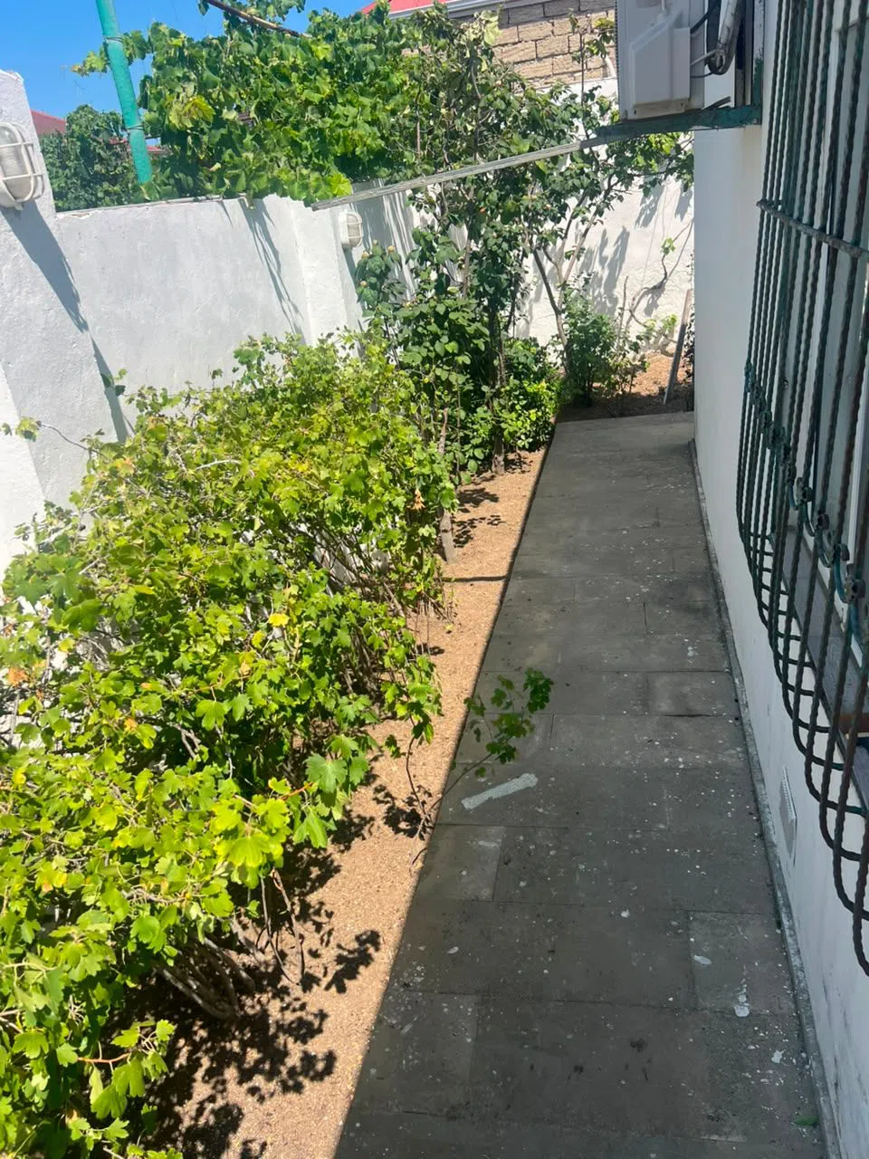 3 otaqlı bağ evi 70 m² satılır — şəkil 7