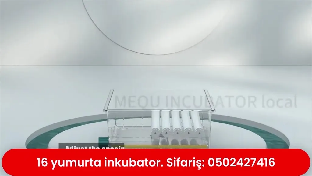 16 yumurtalıq inkubator - Tenderyard