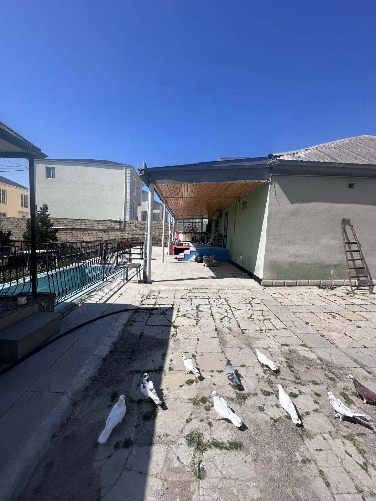 20 sot torpaq sahəsi satılır