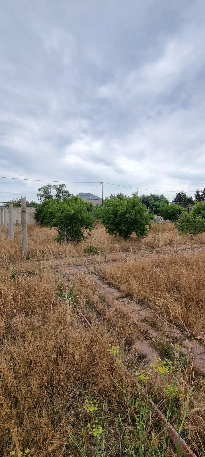 8.5 sot torpaq sahəsi satılır — şəkil 9